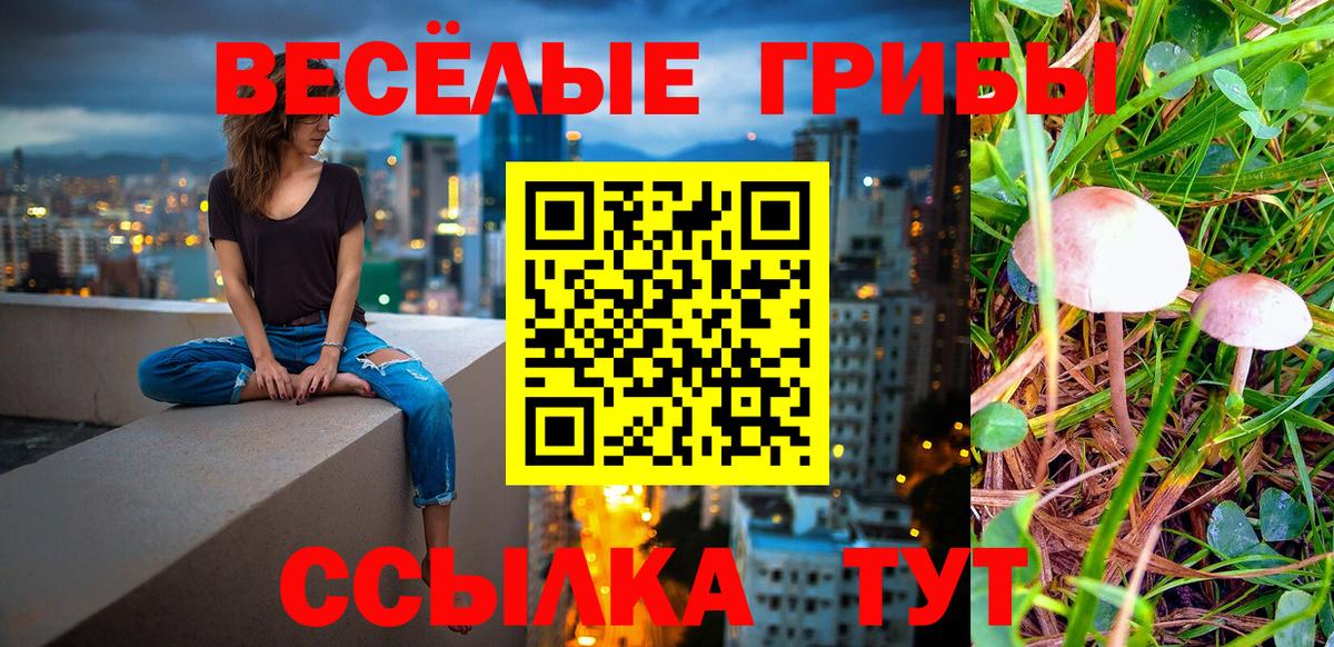 Великий Устюг  Псилоцибиновые грибы прущие грибы  Галлюциногенные грибы Magic Shrooms  Вход с VPN 